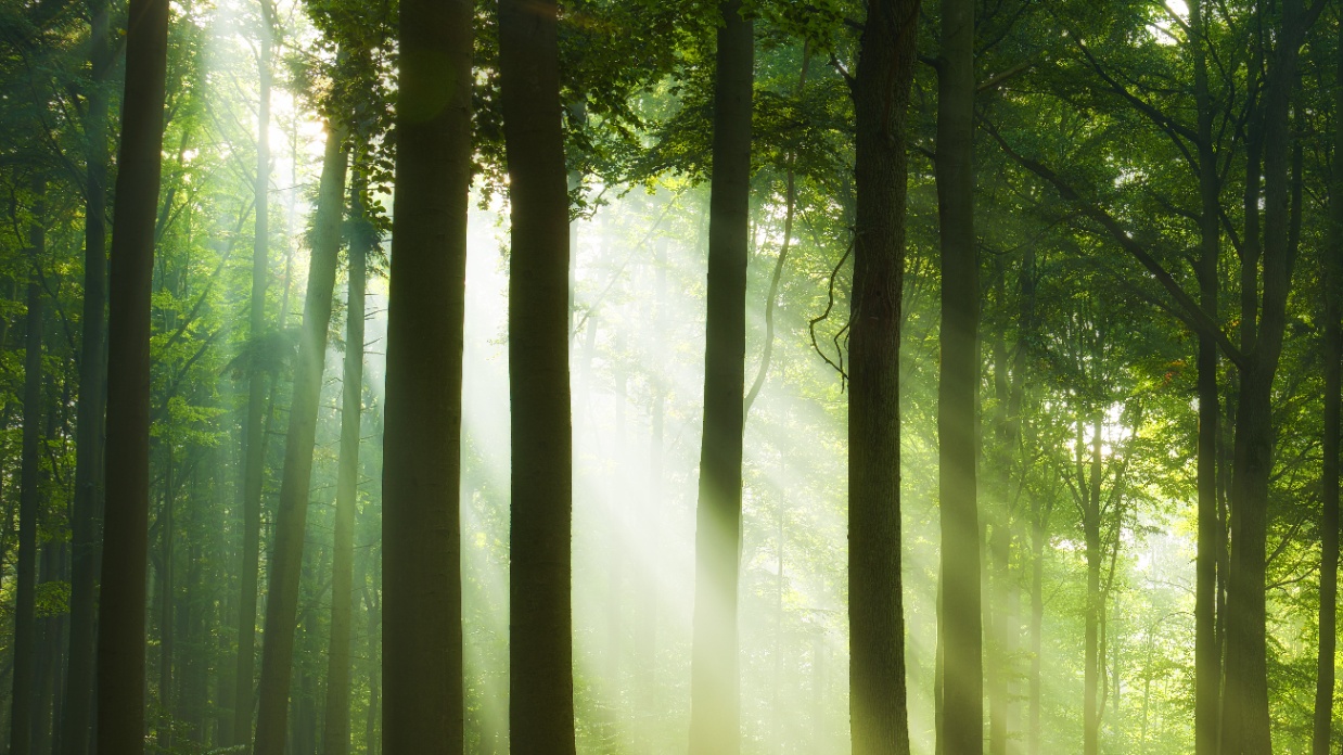 Guiding your son to respond well to sexual attraction