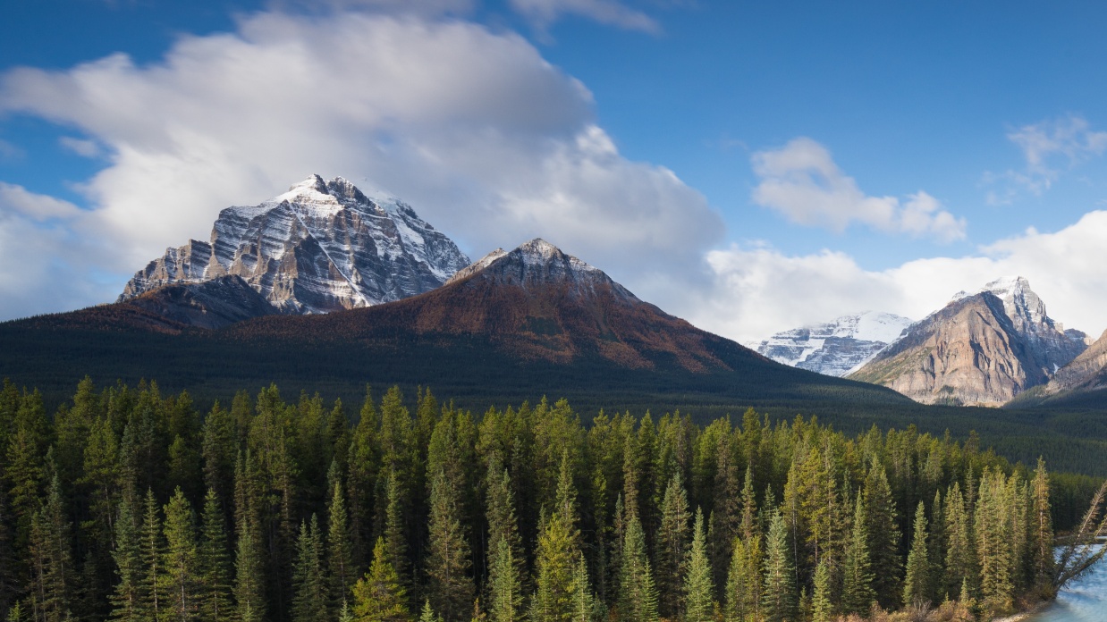 Let your kids host Valentine's Day this year