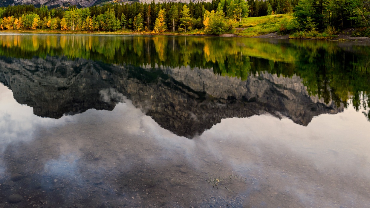 The beauty of "having enough"