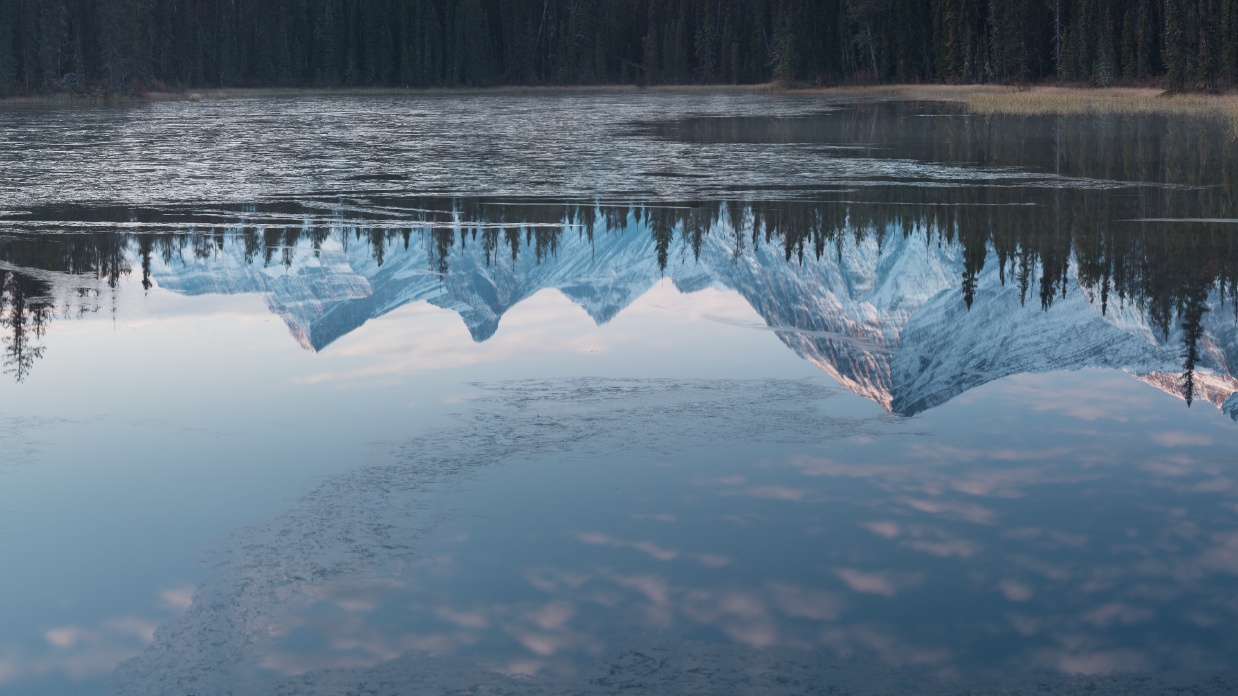 Public adoption in Canada