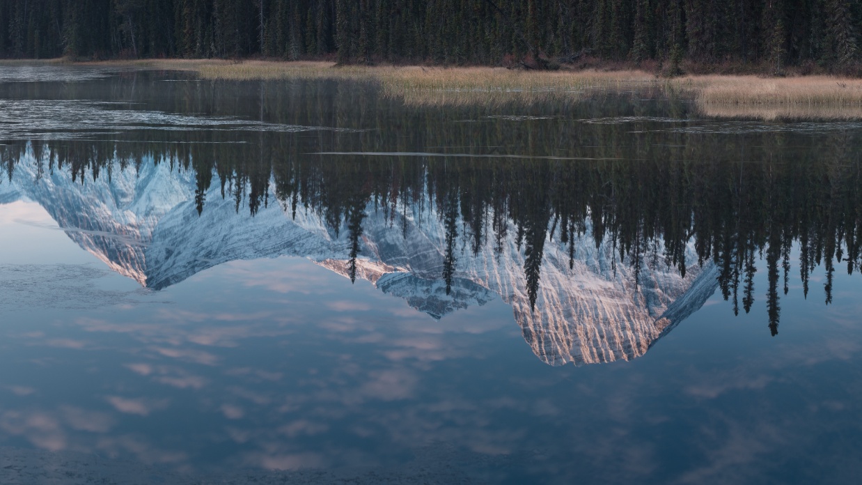 Parents blocking grandparents' relationship with grandchildren