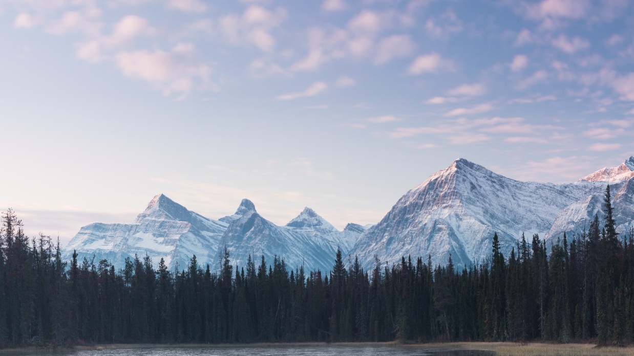 Solo servant leadership: Single and in ministry