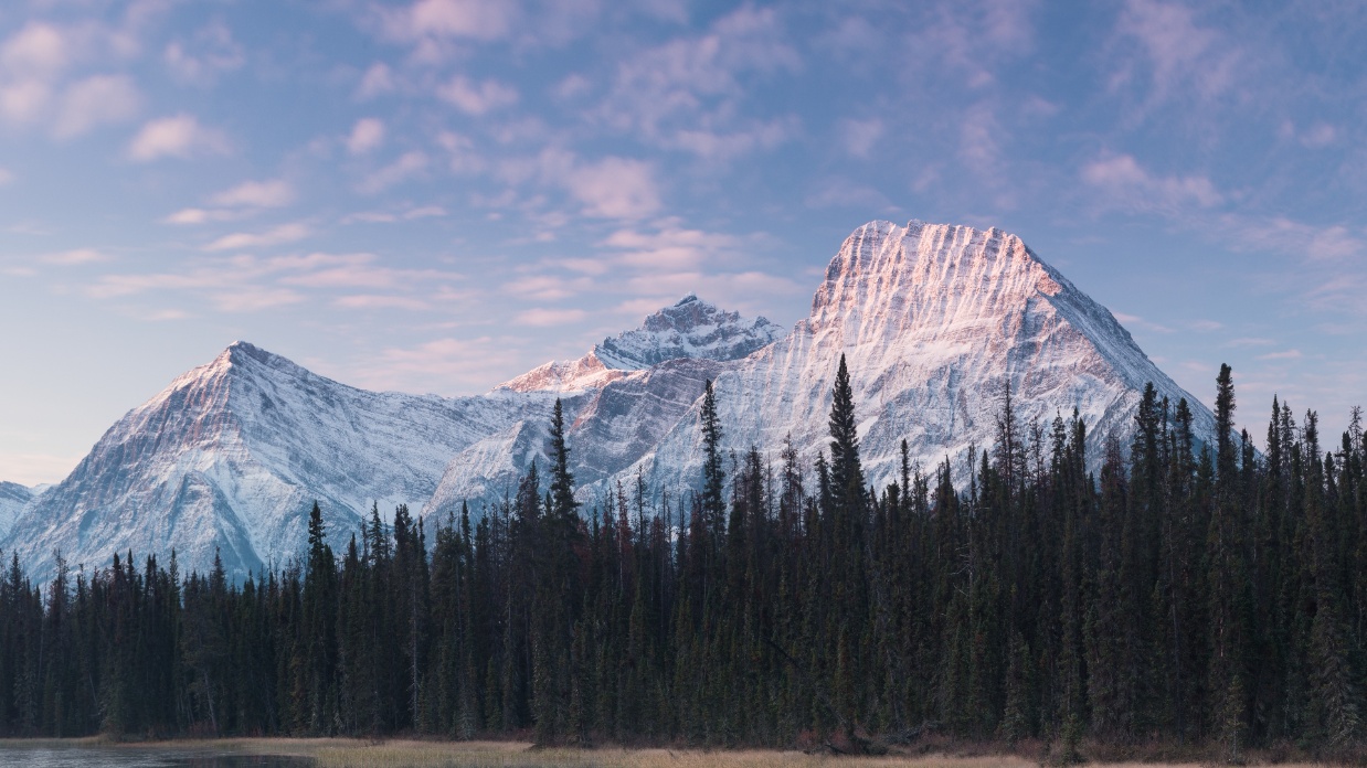 Book Review: Trust by Dr. Henry Cloud