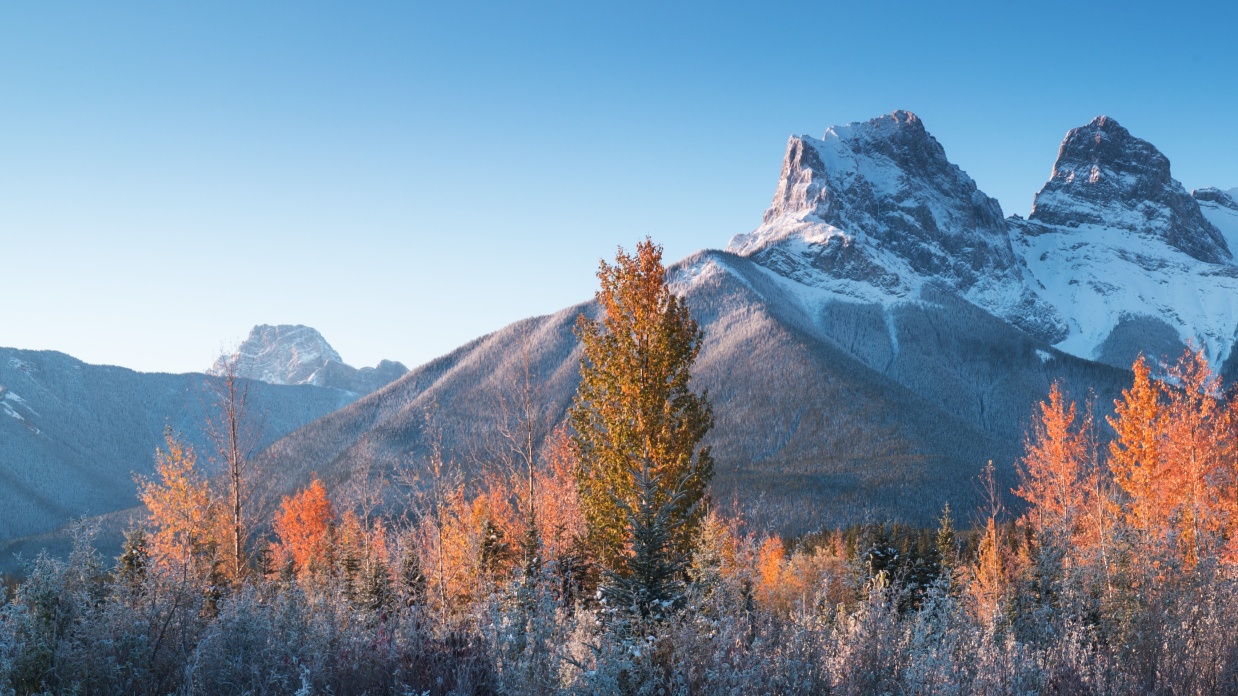 Dealing with the sorrow of miscarriage