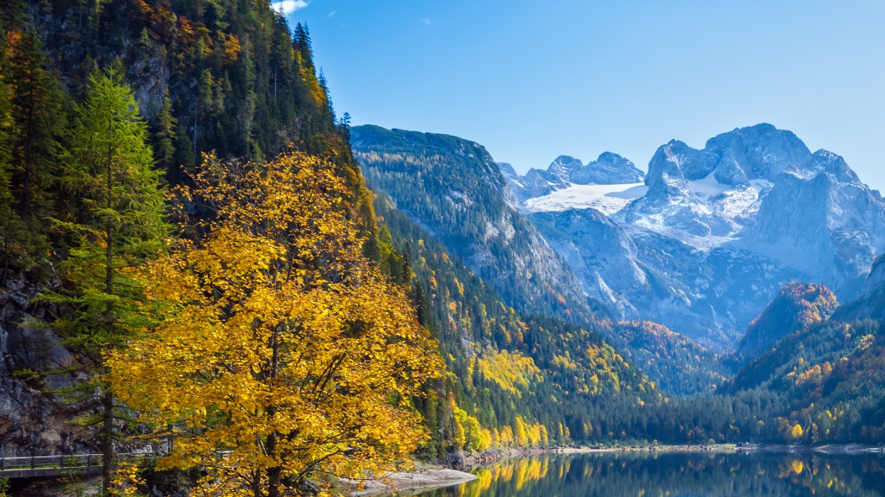 Coping with adoption stress