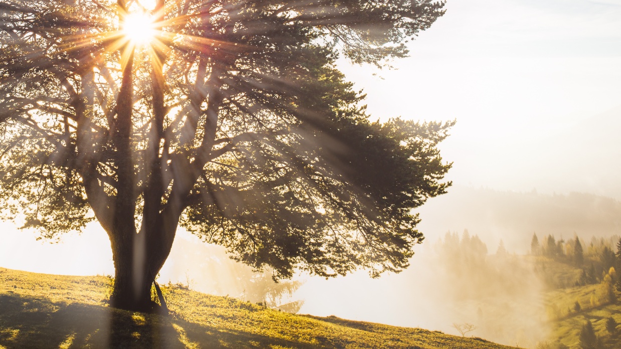 Personal growth through adoption