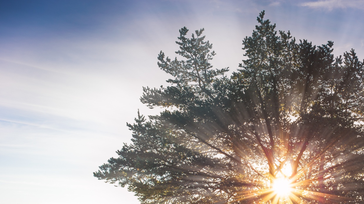 Cutting your spouse's apron strings