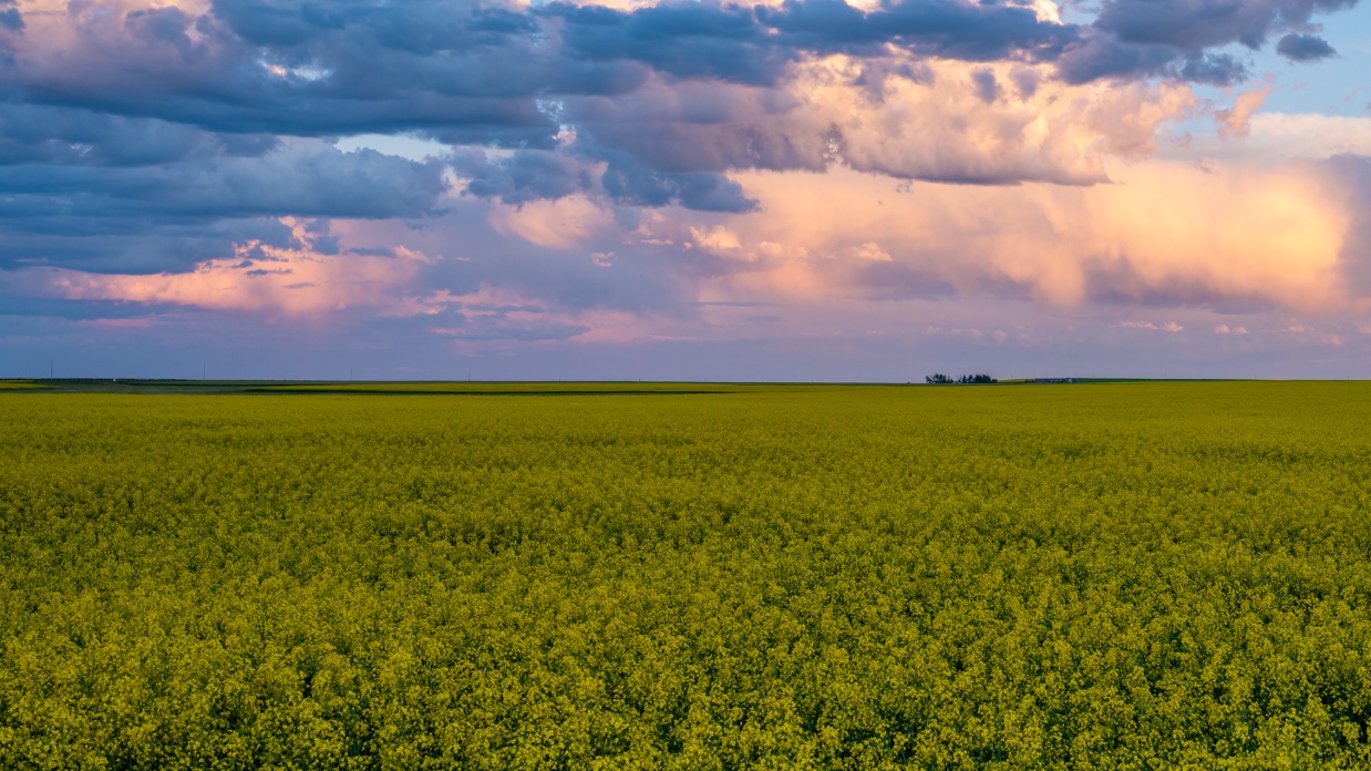 The safest place on earth - Part one