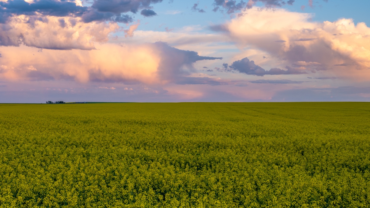 Solve miscommunication by creating a marriage dictionary