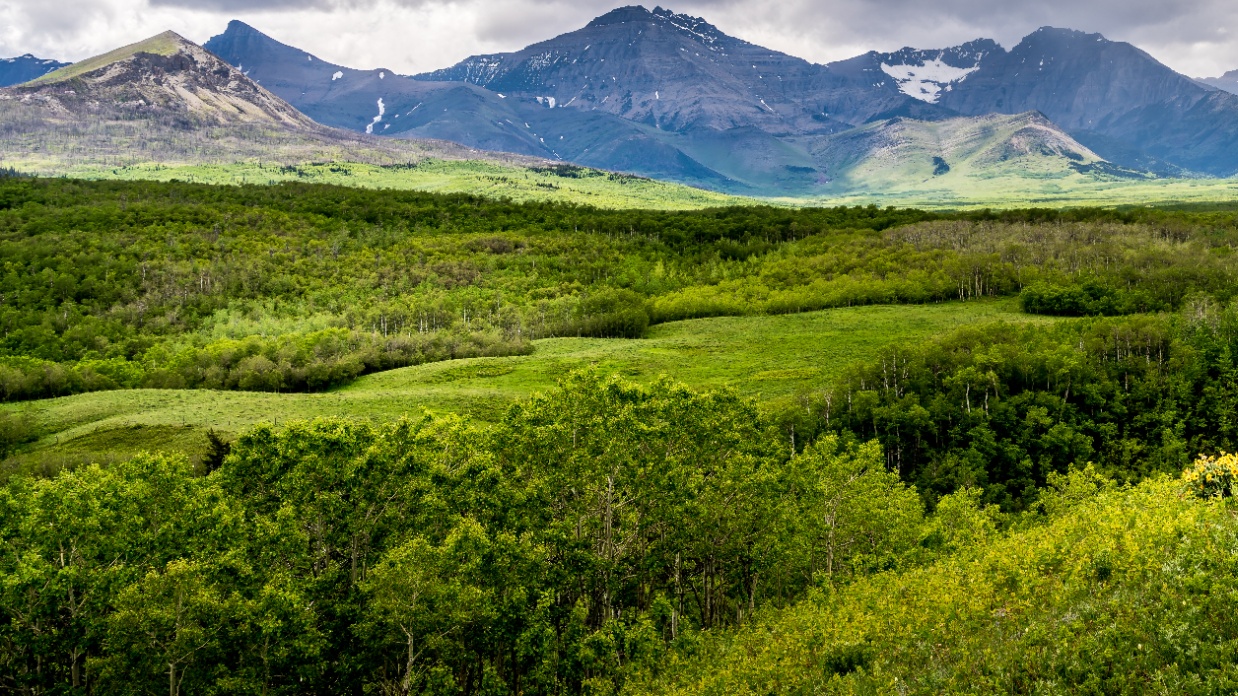 How to unconditionally love your spouse