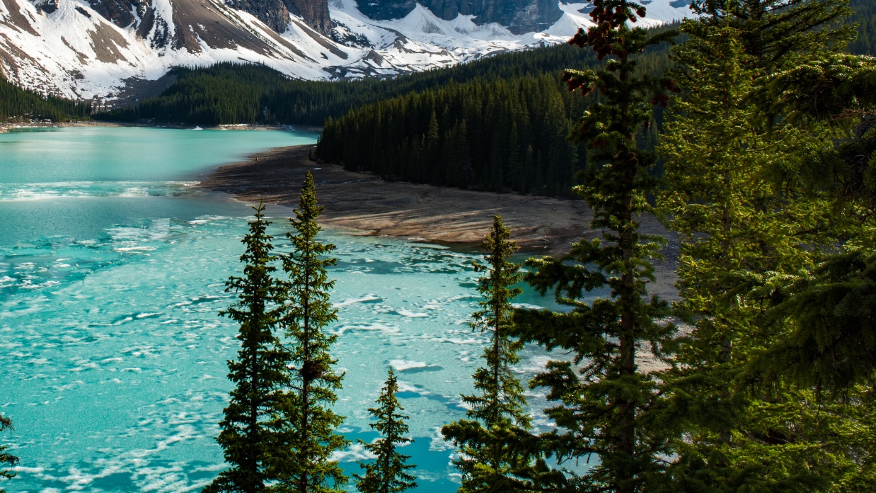 What teens really want for Christmas is you