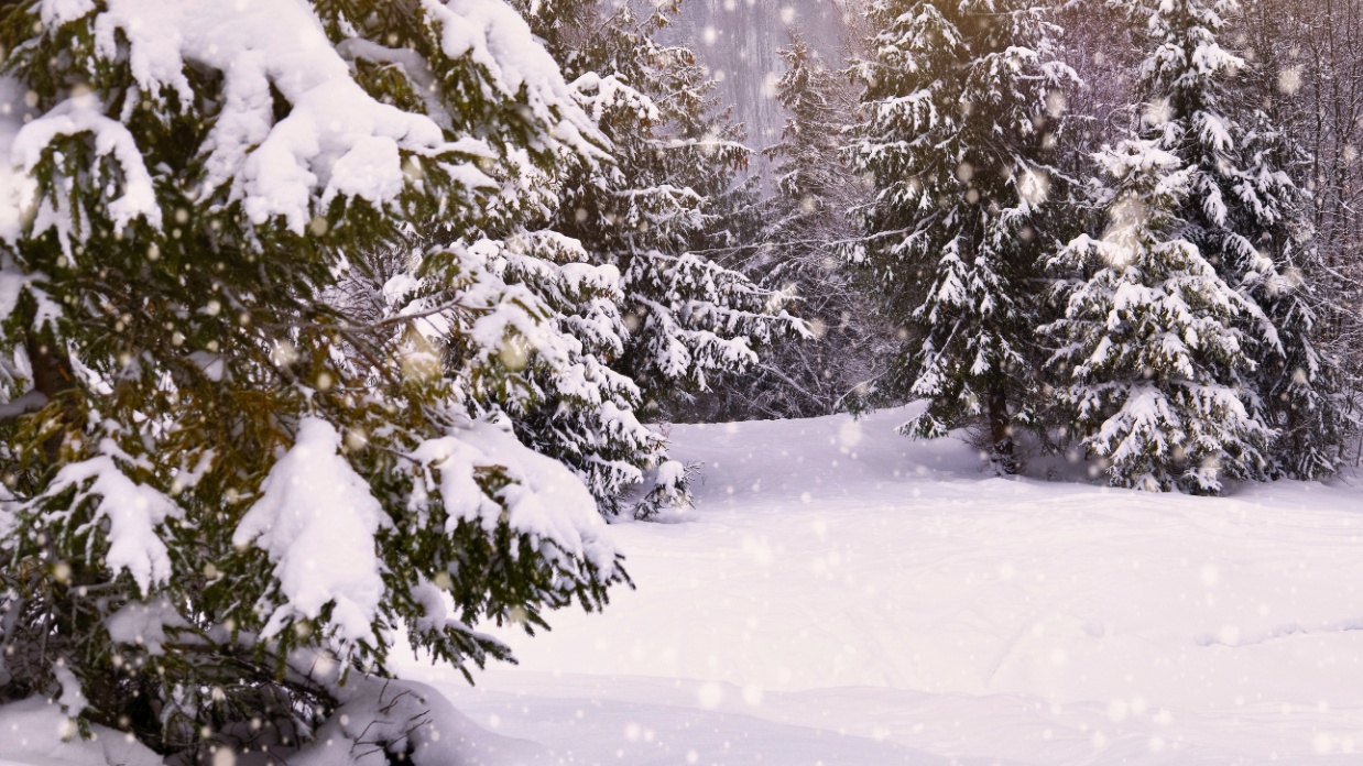 Book review: It’s Not Supposed to Be This Way