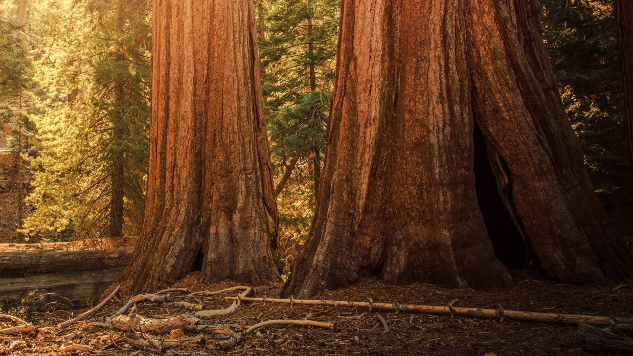 Book review: The Emotionally Healthy Leader