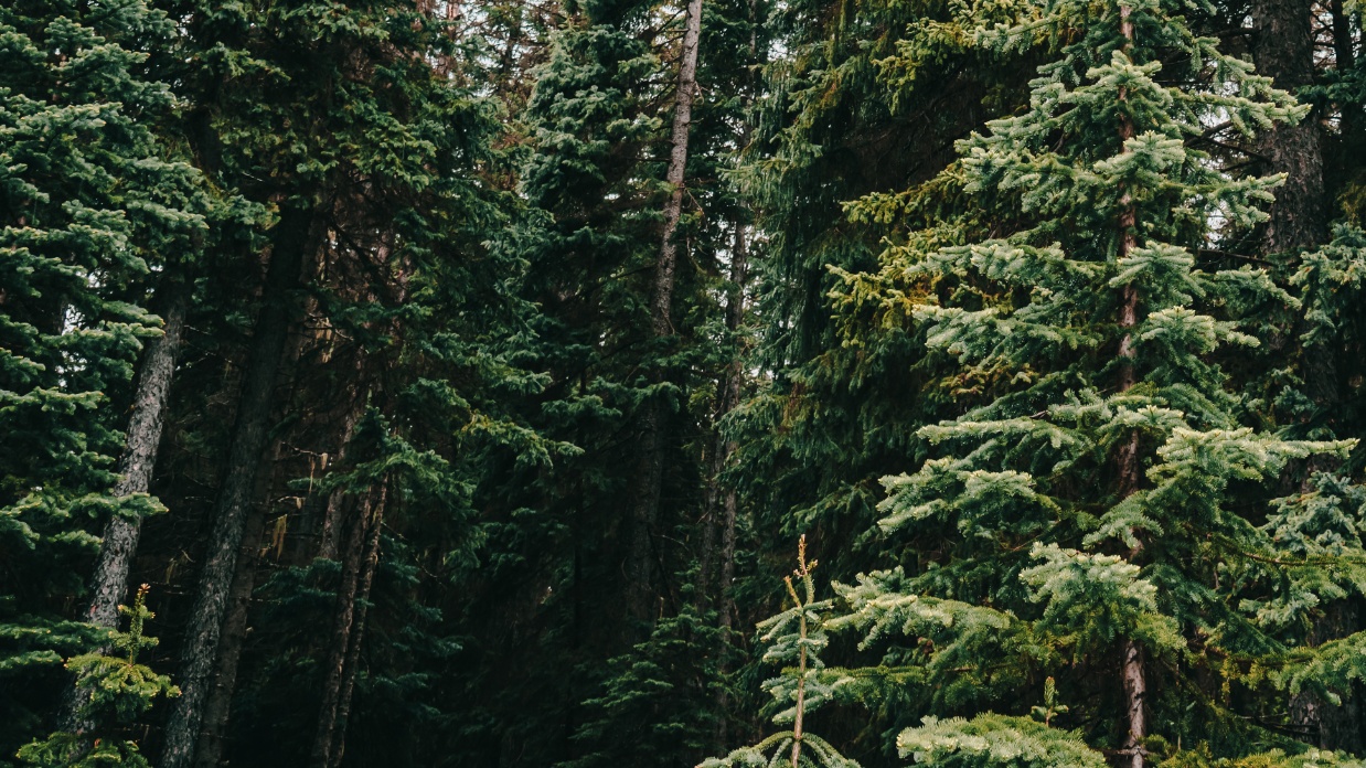 How regular counselling can keep your marriage healthy