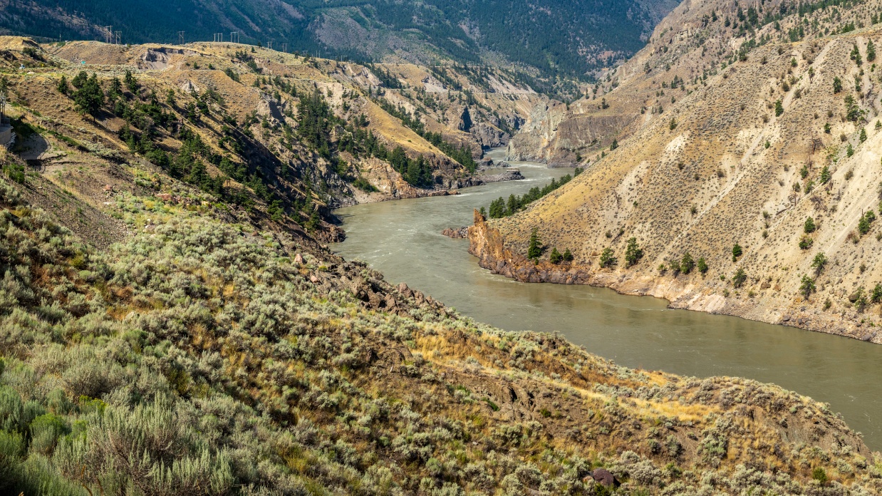 Understanding how birth order affects your teen