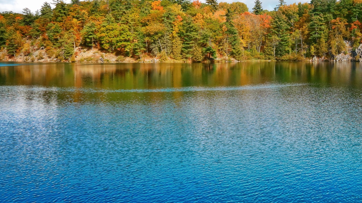 Book review: When to Walk Away: Finding Freedom from Toxic People by Gary Thomas