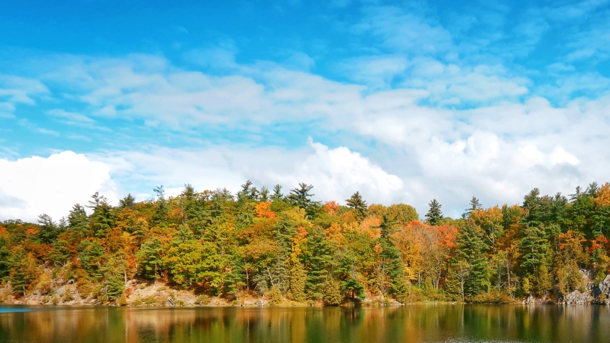 Starting the day right: Healthy breakfasts for growing tweens