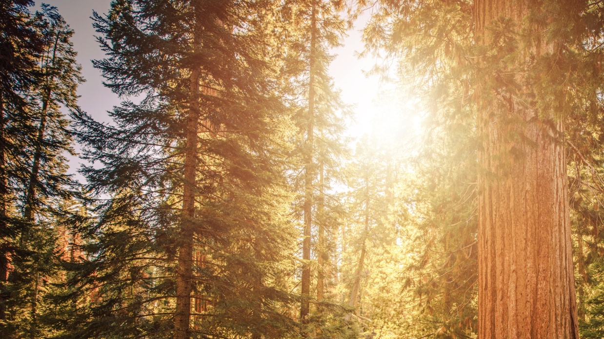 Boundaries in marriage