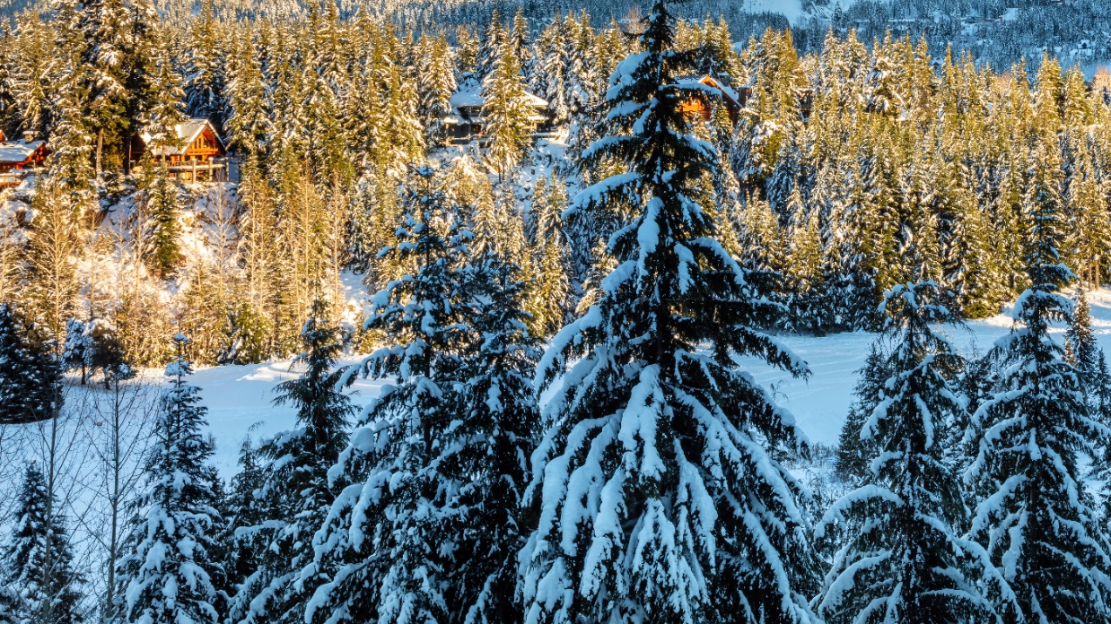 When forced, unexpected termination comes knocking