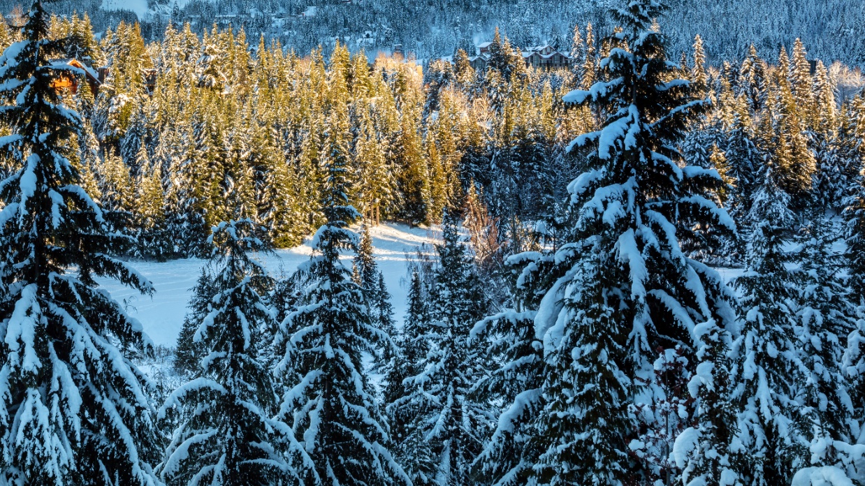 How to deal with the flicker of an old flame