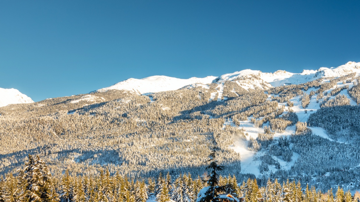 Who are Canada’s waiting children?