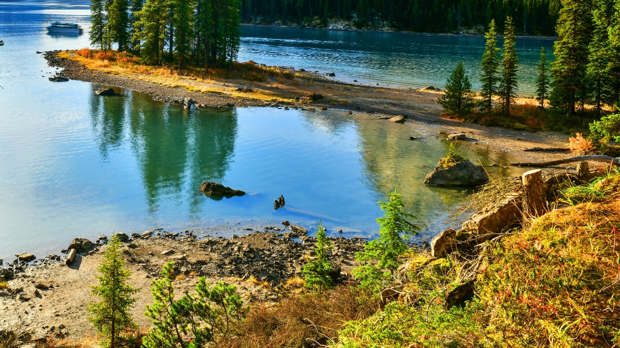 What does it take to be a foster/adoptive parent?