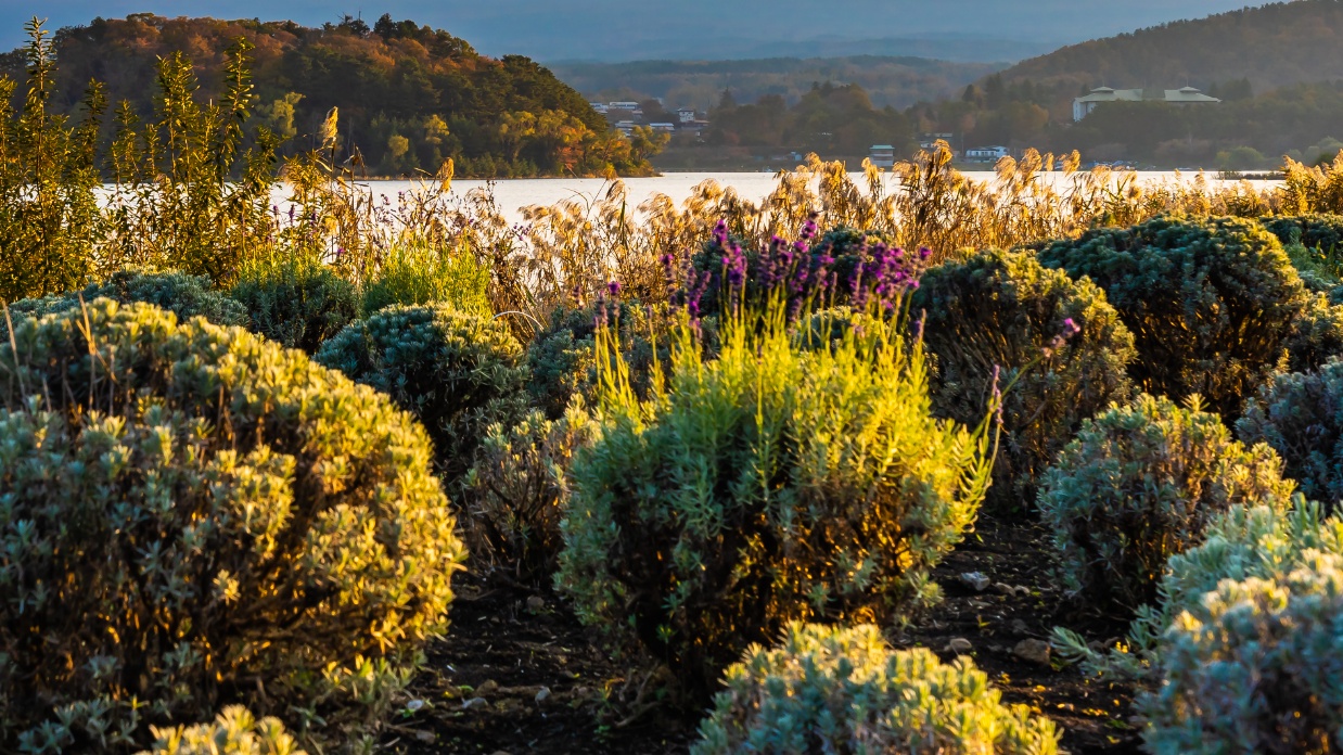 Building a thriving marriage in the midst of ministry