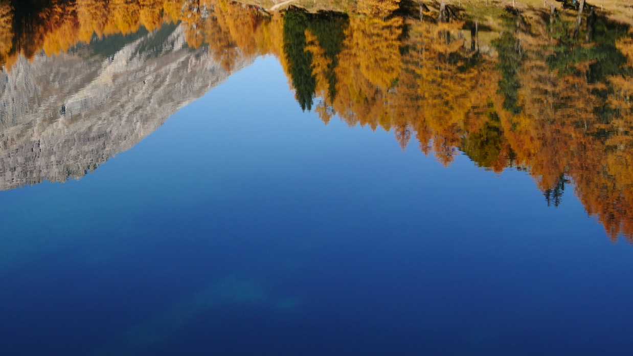 Four conversations parents should have with their kids about digital devices