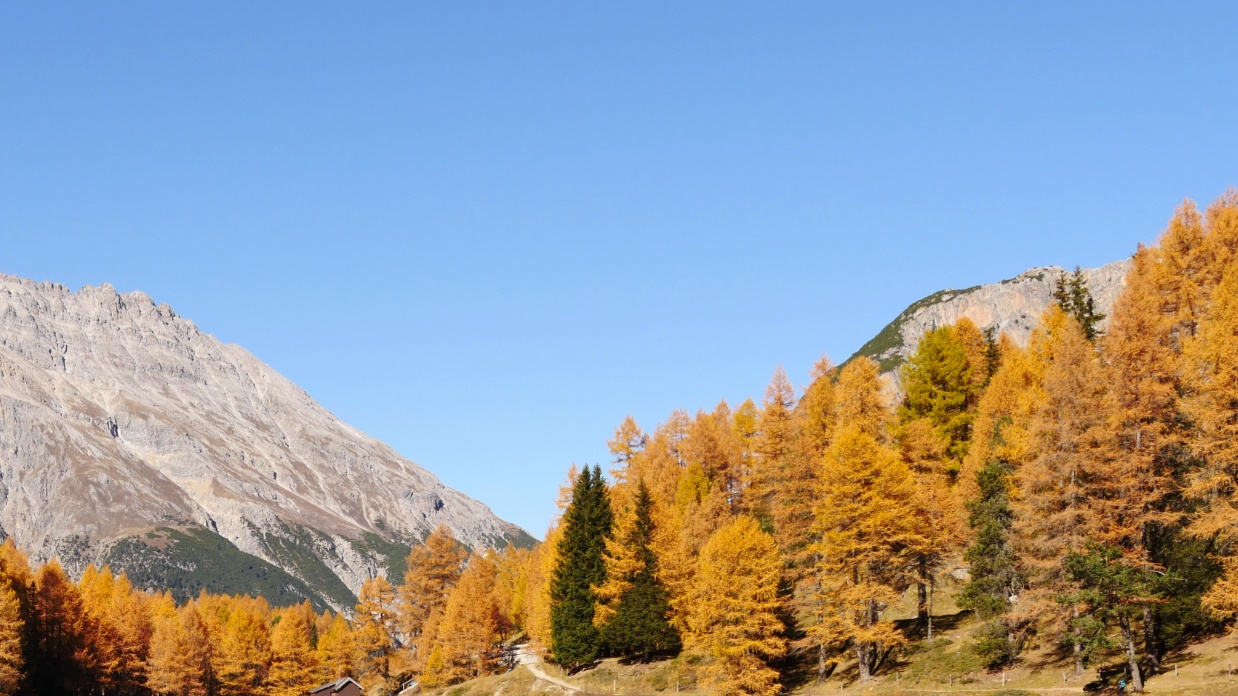 Your teens need you, not more screen time