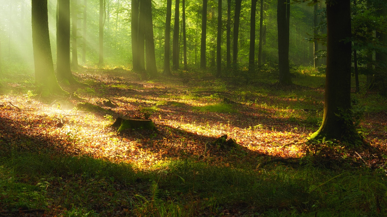 Finishing the race well