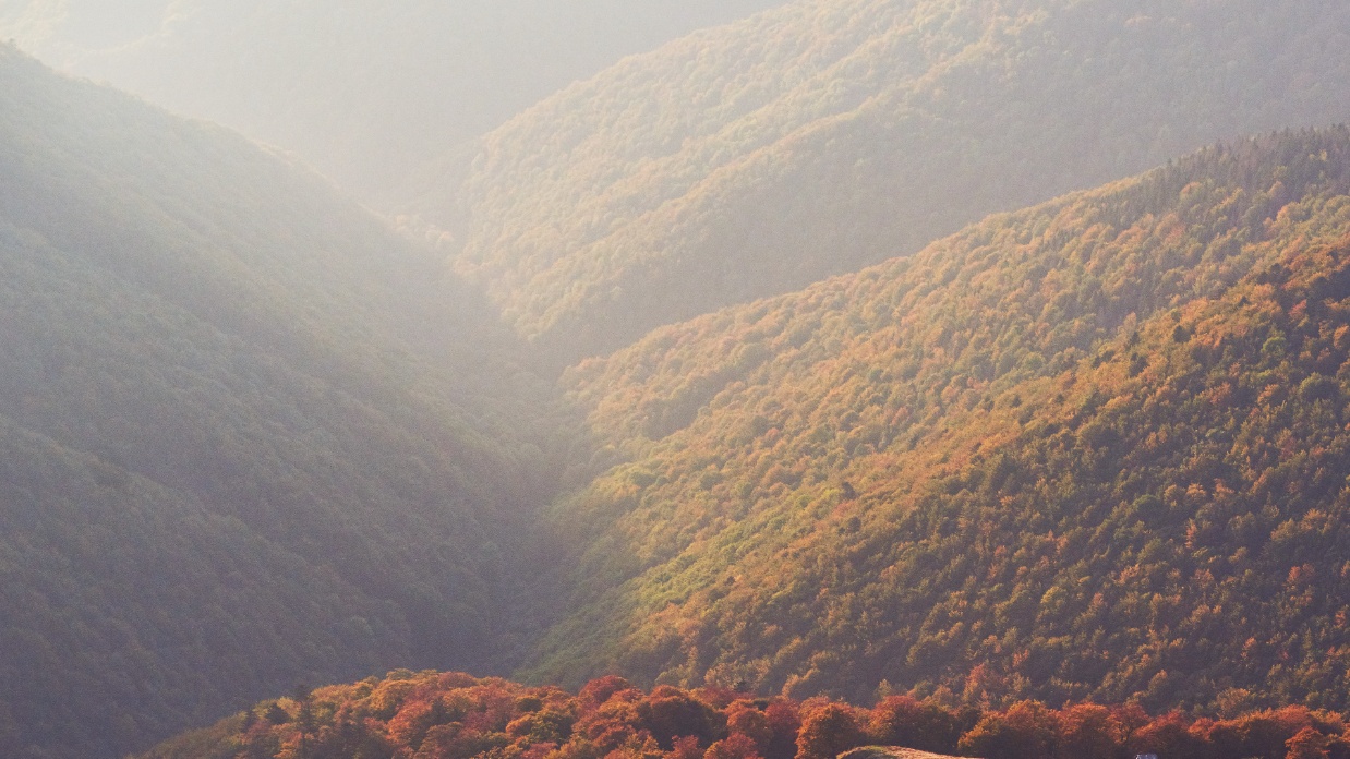 Lessons on money management