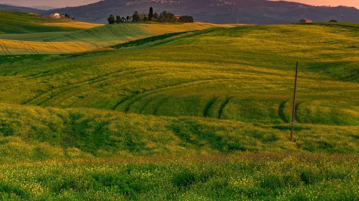 Wrestling with your emotions when your child is hurting
